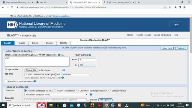 How to use NCBI BLAST || NCBI BLAST Tutorial || NCBI BLAST Practical смотреть онлайн