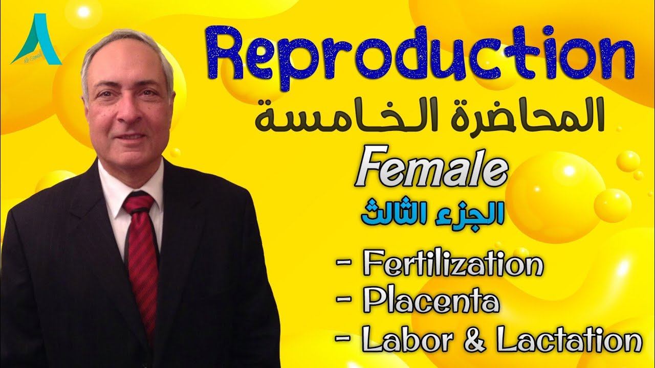 Dr.Nagi - Live Physiology - Lecture 117 - Female (3) - Fertilization, Placenta, Labour & Lactation смотреть онлайн