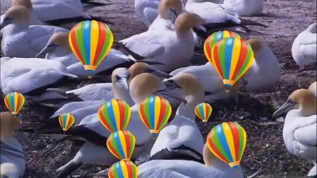 Дика природа смотреть онлайн
