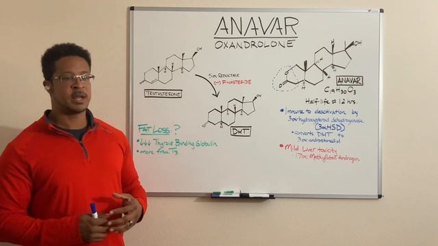 Anavar (Oxandrolone) Geek Out Session смотреть онлайн