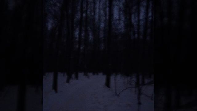 Автостопом по фазе сна - Сонный паралич (speed up\nightcore) смотреть онлайн