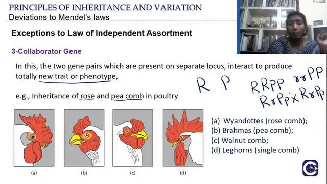 Principles of Inheritance and Variation-Session 3 смотреть онлайн