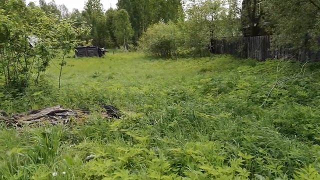 VID 20170610 142400 смотреть онлайн