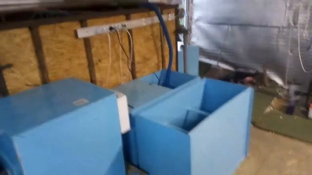 осетр доделки смотреть онлайн
