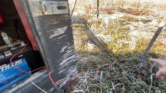 Electric Fences For Bee Yards