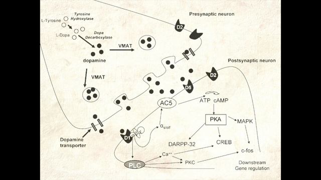 What is Biosemiotics? смотреть онлайн