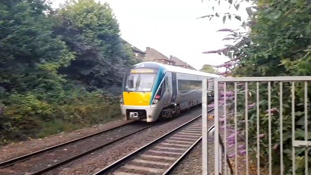 Trains at Botanic 8/7/23 смотреть онлайн