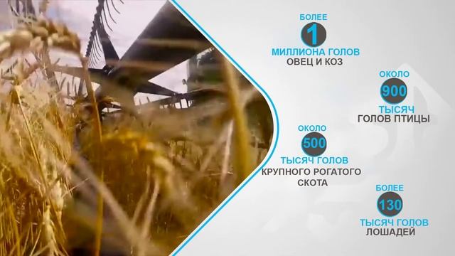 Инвестируйте в Западно-Казахстанскую область смотреть онлайн