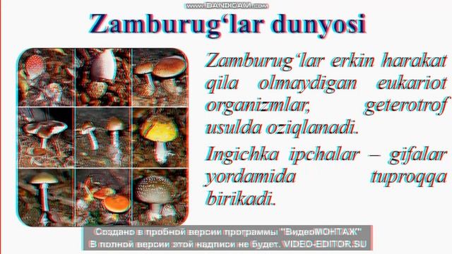 BIOLOGIYA 5 SINF 5 DARS
