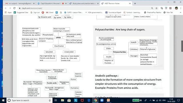 NEET - Biology - Biomolecules смотреть онлайн