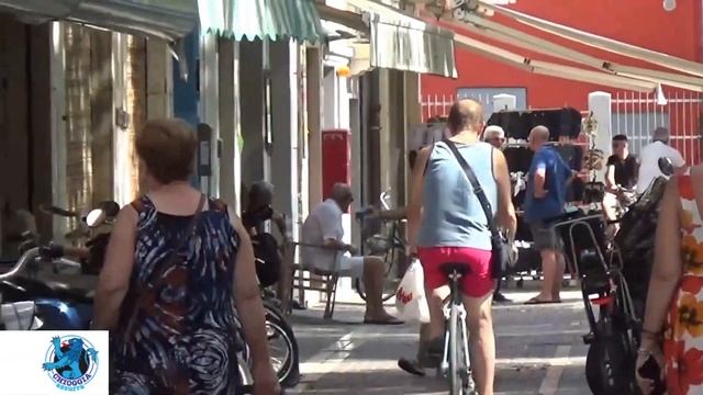 TG AZZURRA 8 AGOSTO 2022:PICCOLI DEFICIENTI CRESCONO смотреть онлайн