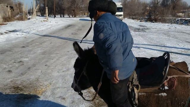 Будущая звезда КОК БОРУ г Кара Балта Кыргызстан 2021 наивное кино. смотреть онлайн