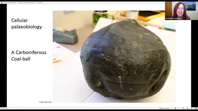 More Than Dinosaur Food: What plant fossils can tell us...Dr Susie Lydon (University of Nottingham) смотреть онлайн