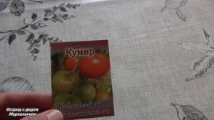 Какие сорта томатов сажать в 2021 г. Мой выбор. Калужская область.