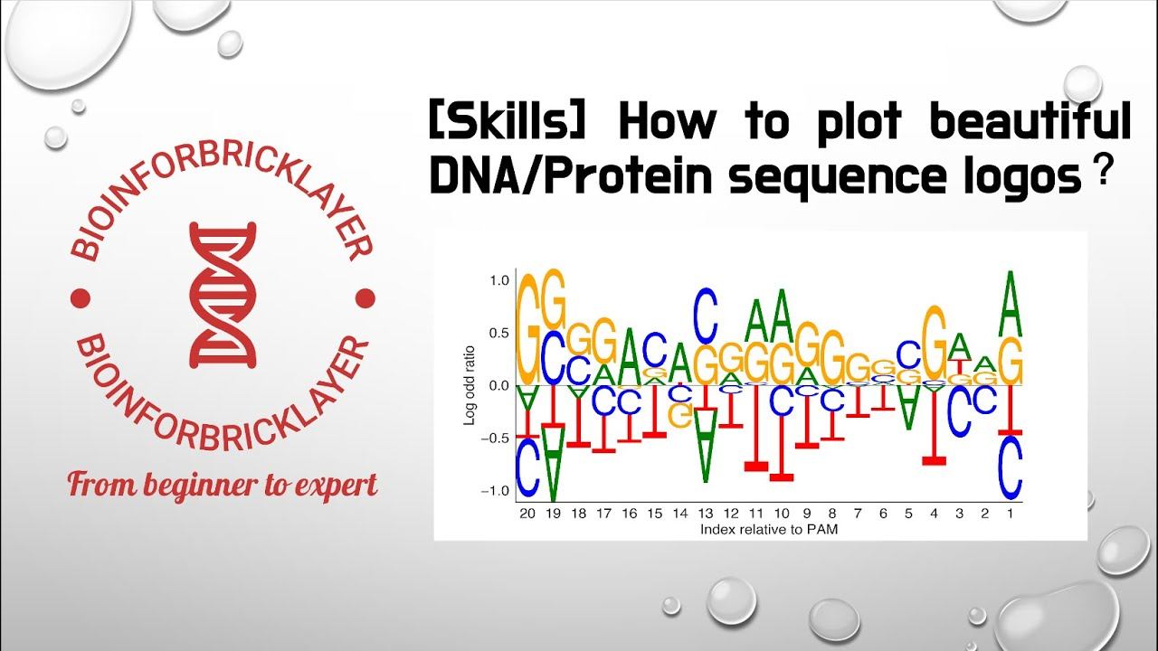 【Bioinformatics | Skills 04】How to plot beautiful protein/DNA sequences logos? смотреть онлайн