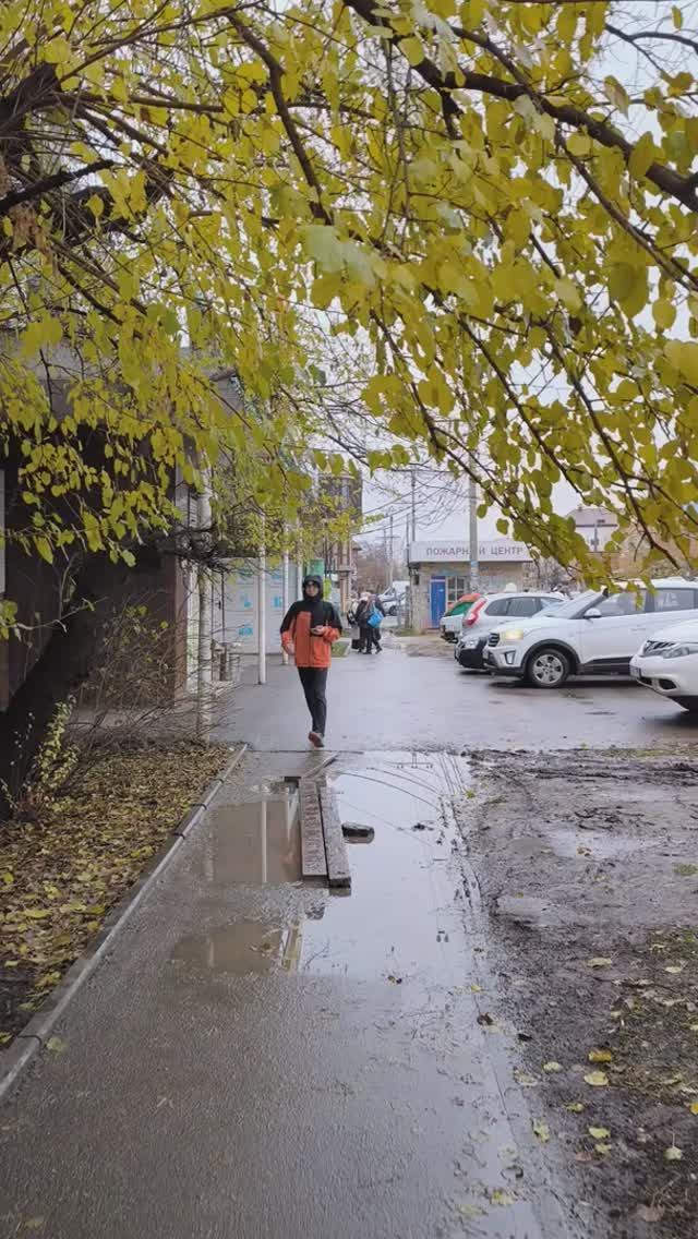 Краснодар в конце ноября, осень, +4°. Природа и город 🌿🍁 смотреть онлайн