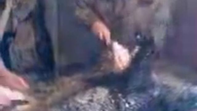 Видео с моего телефона смотреть онлайн