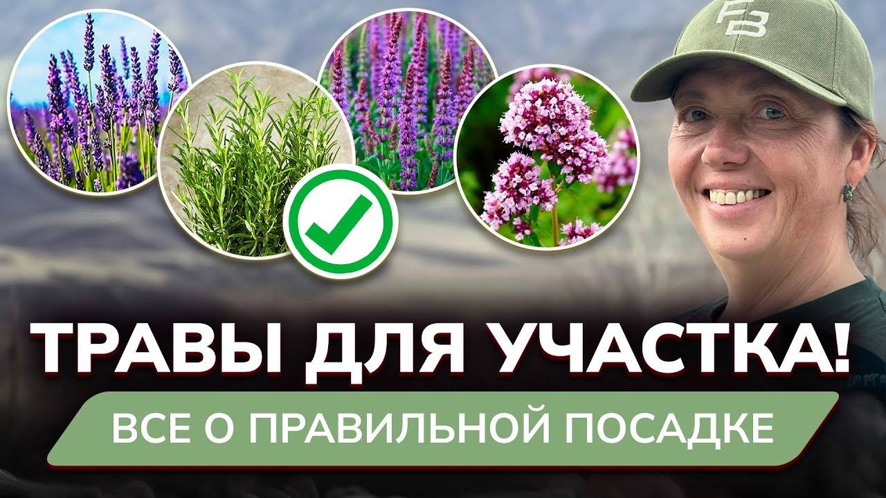 Как выбрать ЛУЧШИЕ ТРАВЫ для своего сада? Мастер класс: время для сбора, нюансы посадки.Garden Group смотреть онлайн