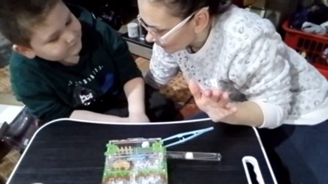 Заселение муравьиной фермы😃😄💥👍 смотреть онлайн