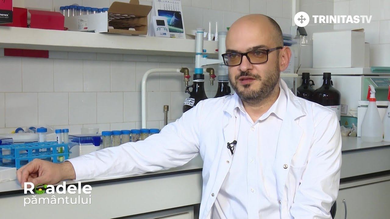 🍊 Cum putem să controlăm includerea pesticidelor în alimentație? #RoadelePământului смотреть онлайн