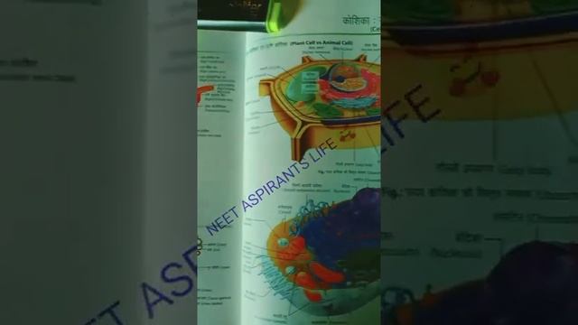 Neet aspirants life || Delhi AIIMS best image structural organisation in animals and cell смотреть онлайн