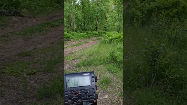 7091 khz смотреть онлайн