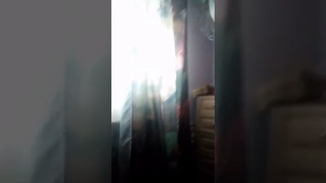 Моё рыльцо) смотреть онлайн