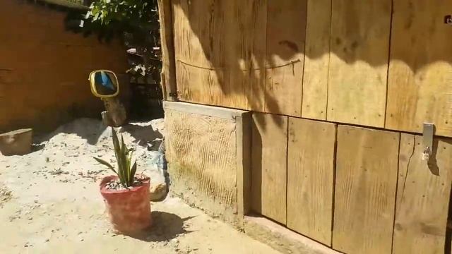 mostrando um pouco da aldeia indígena de PARATY rj смотреть онлайн