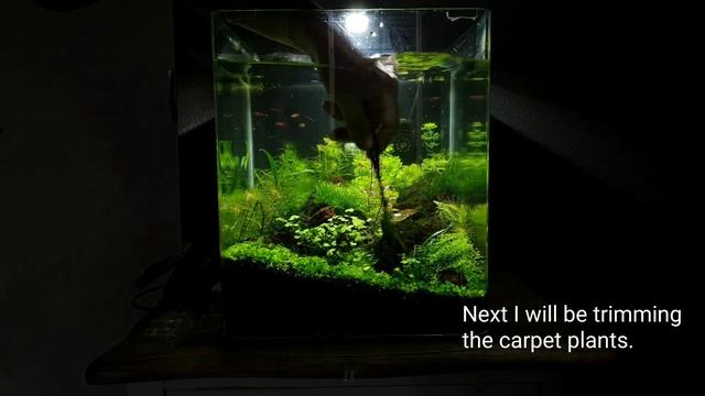 Weekly maintenance of my Nanocube смотреть онлайн