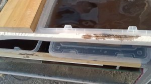 Автоматическая мини ферма для выращивание живого корма, дафнии, аулофорус и т.д.