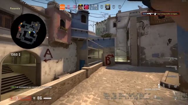 Toma pelao ql смотреть онлайн