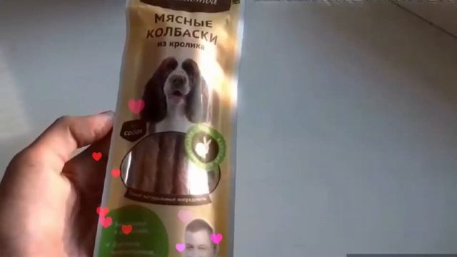 🛍ЗООПОКУПКИ🛒Marsel and Busya🐾 смотреть онлайн
