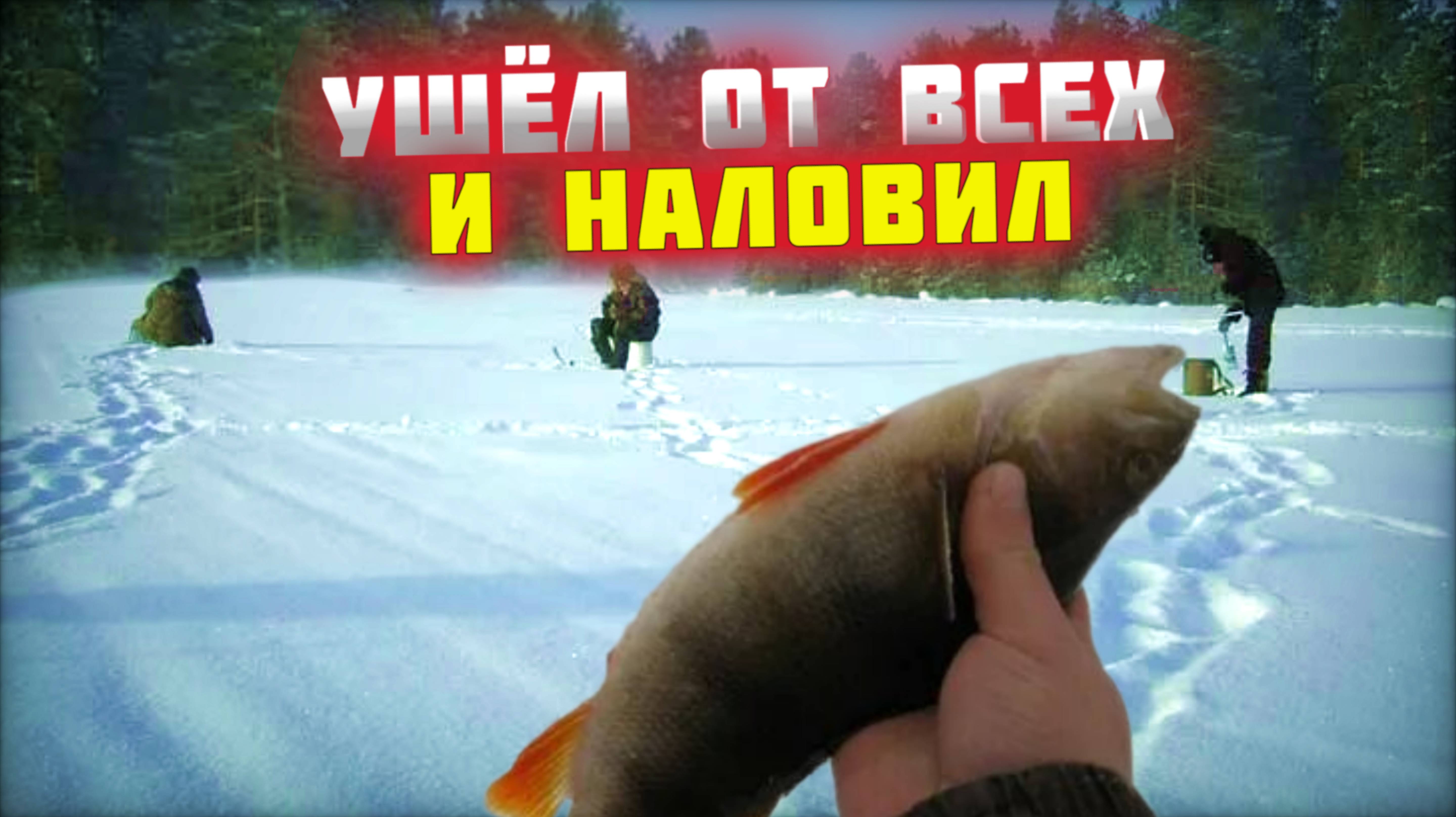 Удачная рыбалка. Две безмотылки были уничтожены окунем. смотреть онлайн