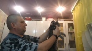 ДОЗИМЕТР  БЫТОВОЙ  МАСТЕР -1