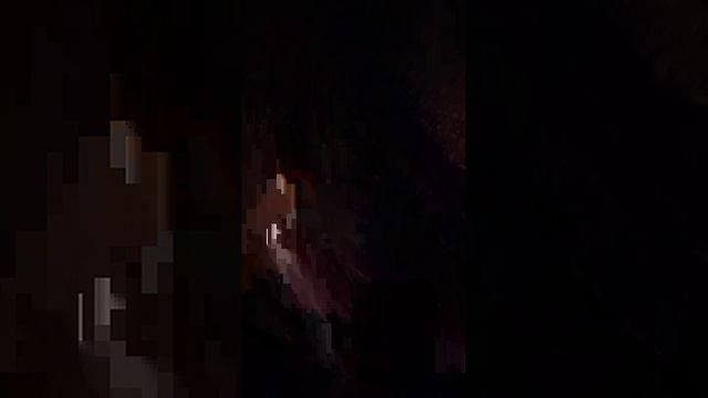 угабуга миха