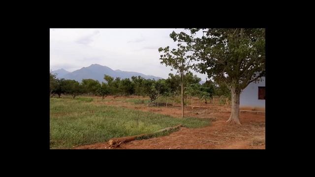 73. THENI DIST. BODINAYAKANUR 28 KUZHI ( 16 ACRE 80 CENT) AGRI LAND SALE смотреть онлайн