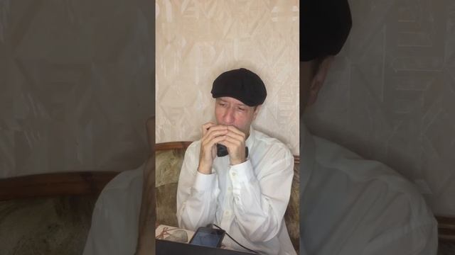 Jambalaya - country cover #harmonica #music #cover #губнаягармошка #я смотреть онлайн