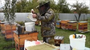 Один день из жизни пчеловода. Осенние работы на пасеке.