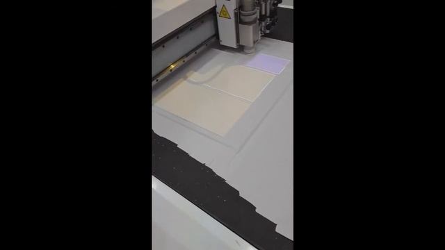 RIKPROM.RU раскройный комплекс SABAL CL1030 видео 7 смотреть онлайн