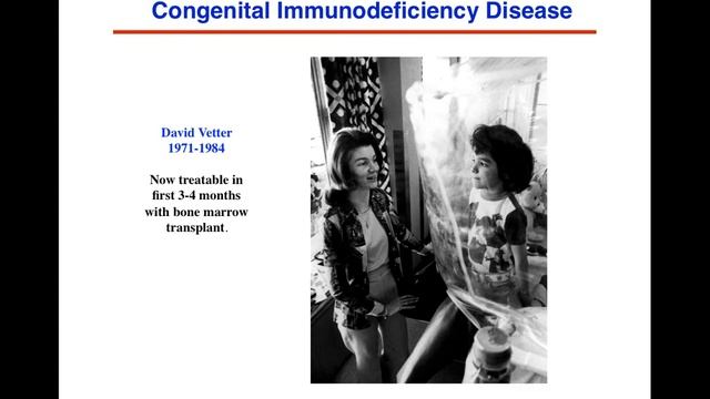 Immunosuppression vid 3 смотреть онлайн