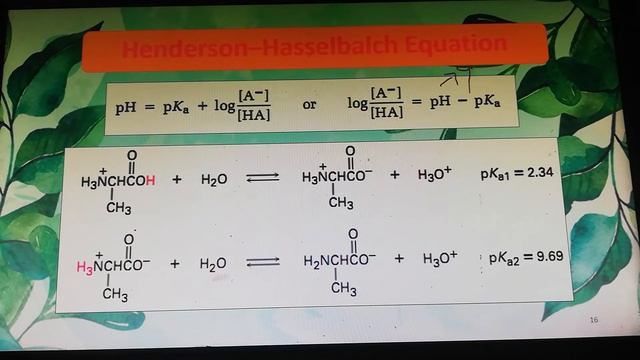 Structure of Amino Acids 2 смотреть онлайн