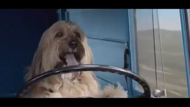 Purina Bakers Meaty Meals: Heist