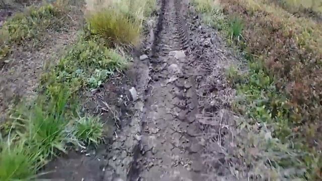 г. Лютянская Голица Карпаты - 1374,9 м 20.07.2018 смотреть онлайн