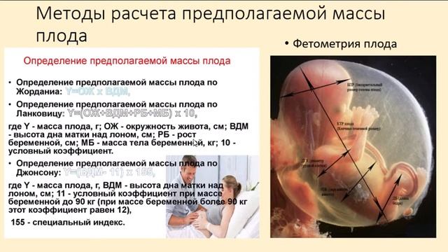 крупный плод смотреть онлайн