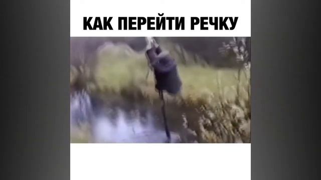 Тест на психику. Засмеялся-подписался. 600 секунд смеха. Ржака. Топ приколы смотреть онлайн