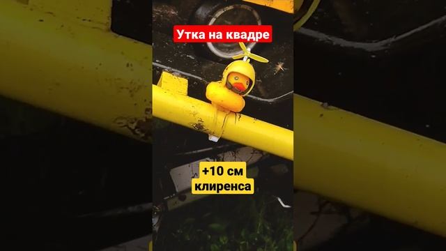 Утка на квадре +10см к клиренсу #shorts смотреть онлайн