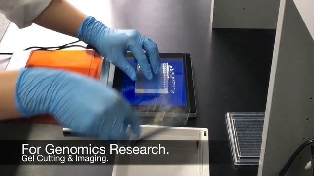 BluPAD Dual LED Blue/White Light Transilluminator (Bio-Helix) смотреть онлайн