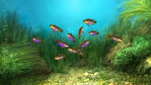 Pelvicachromis pulcher смотреть онлайн