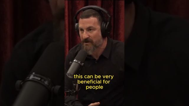 Food Supplements - Andrew Huberman at Joe Rogan Clips смотреть онлайн