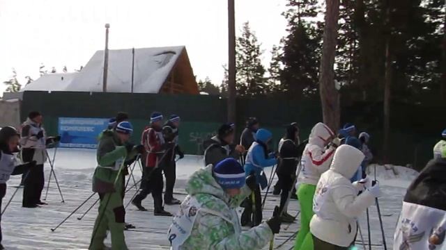 Лыжня России 2015 в Бердске смотреть онлайн